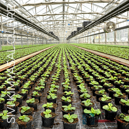 Tarım Sıvı Gübre Matbaa Baskı Haznesuyu CNC, Matbaa Baskı TechnoTrans Dozajlama