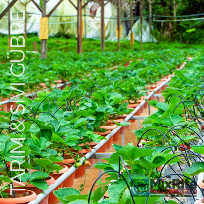 Tarım Sıvı Gübre Matbaa Baskı Haznesuyu Dozajlama